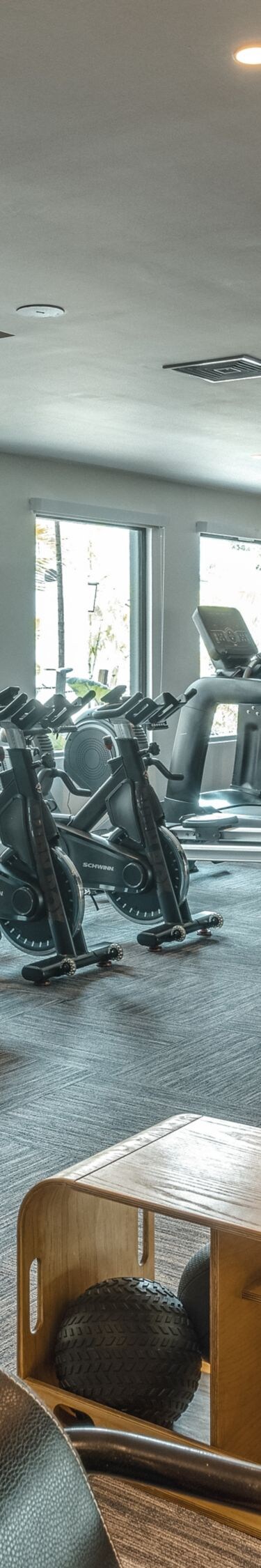 Large gym with cardio and weights