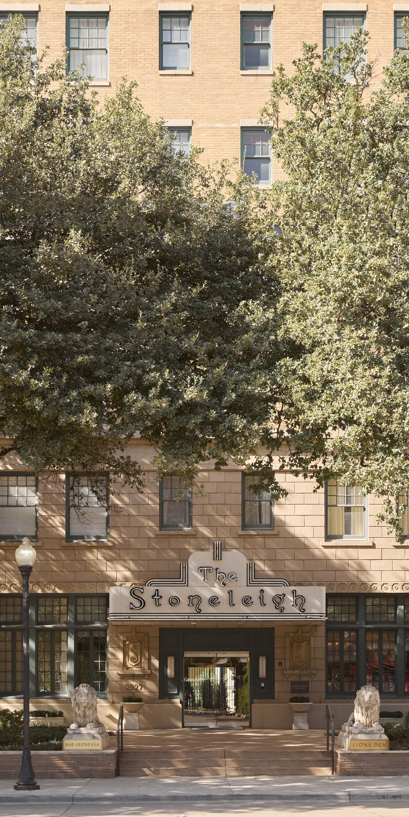 Historic hotel entrance framed by mature trees