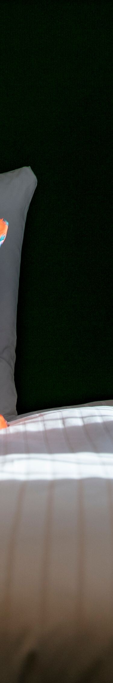 Komfortables Gästezimmer