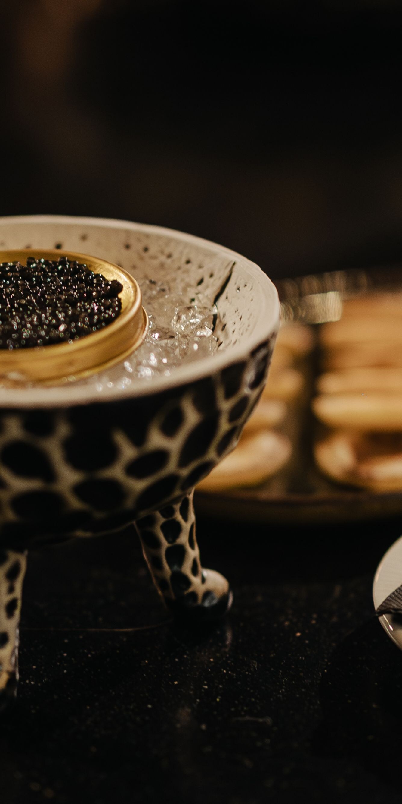 Caviar & Oysters Experience