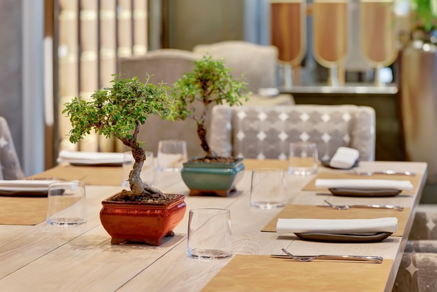 table with place settings and Bonsai trees