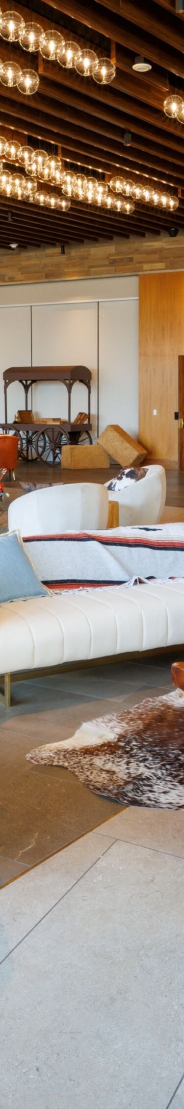 Chairs, sofas, tables in meeting facility.