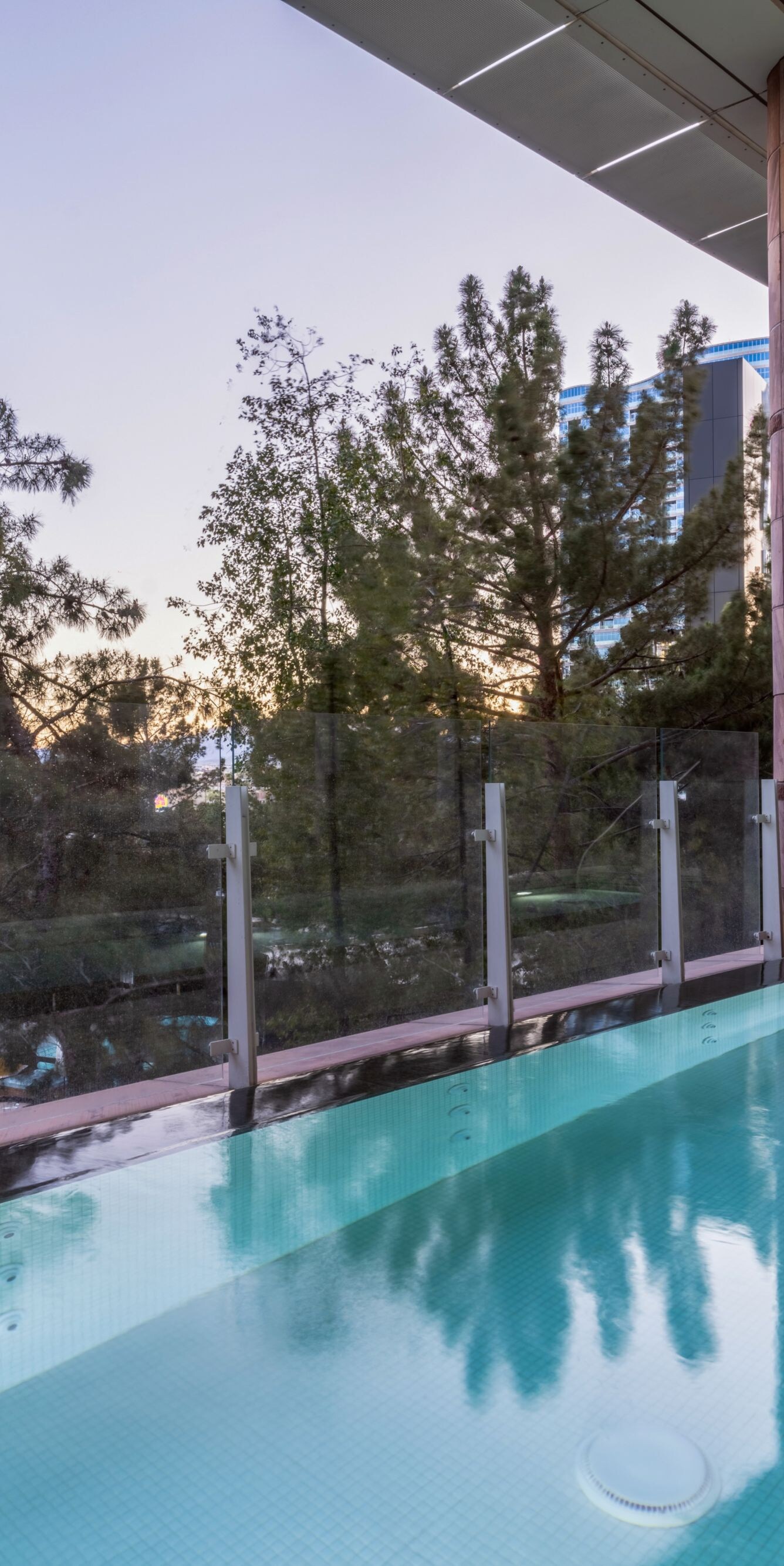 Infinity pool overlooking pool area.