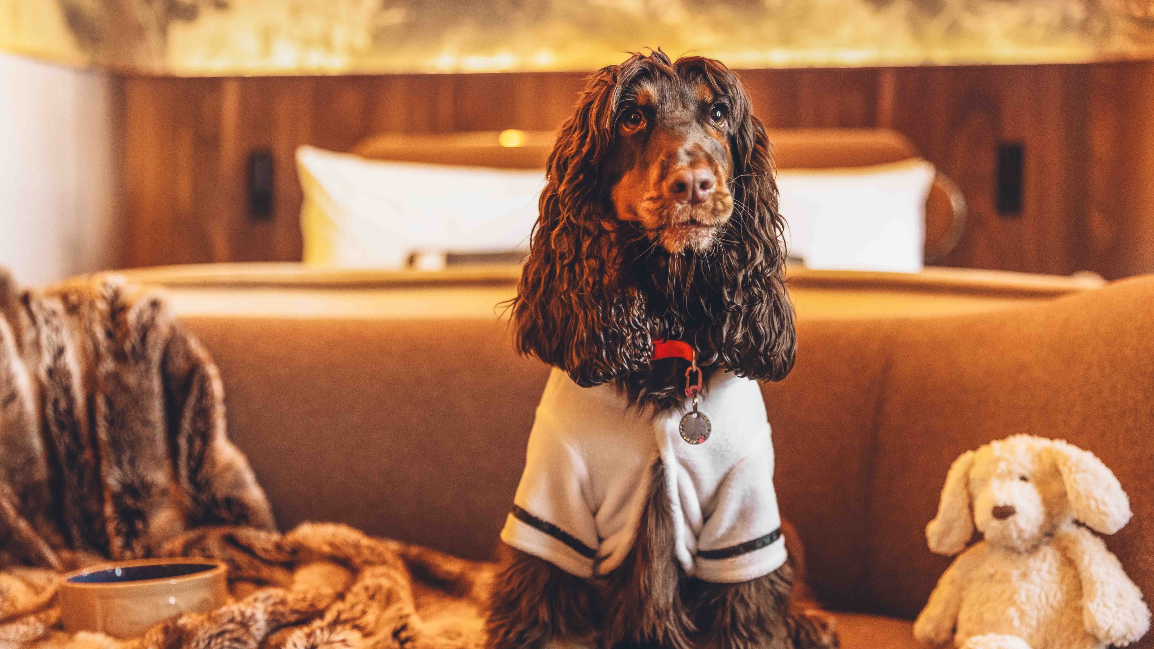 Pawsome Stay