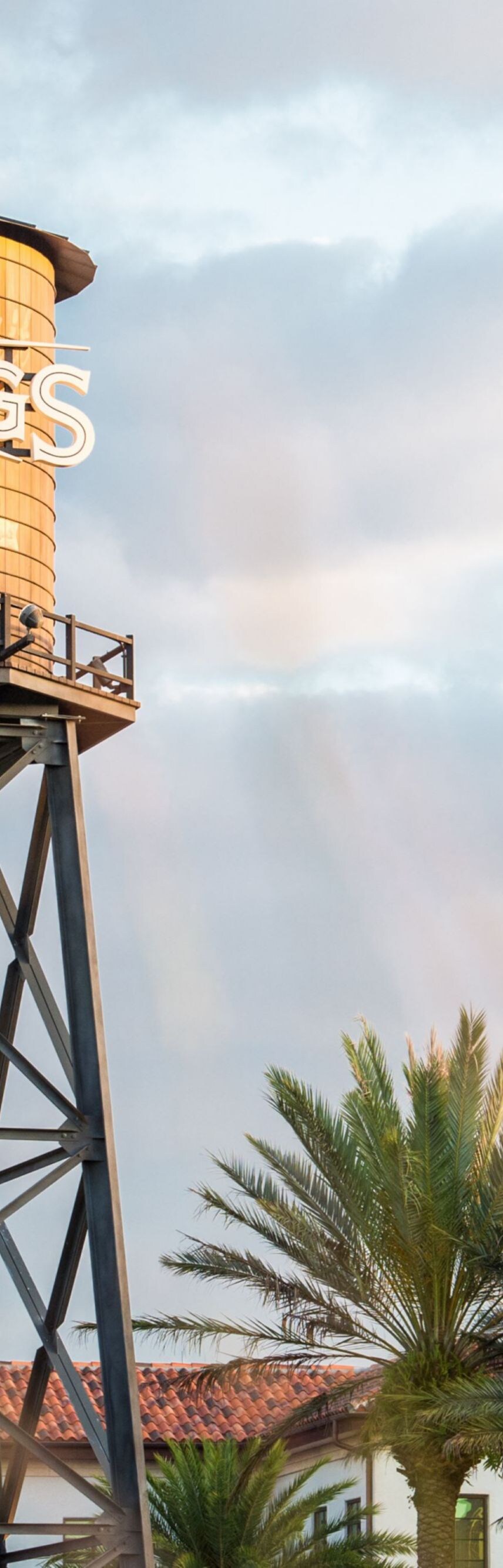 Disney Springs water tower.