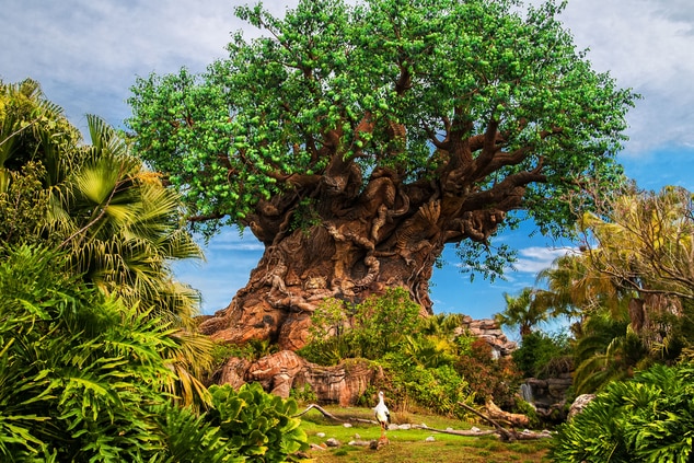 tree of life at disney's animal kingdom