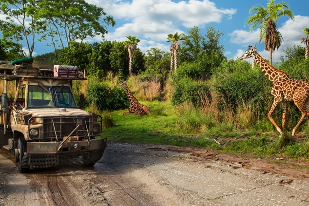 safari truck passing a giraffe 