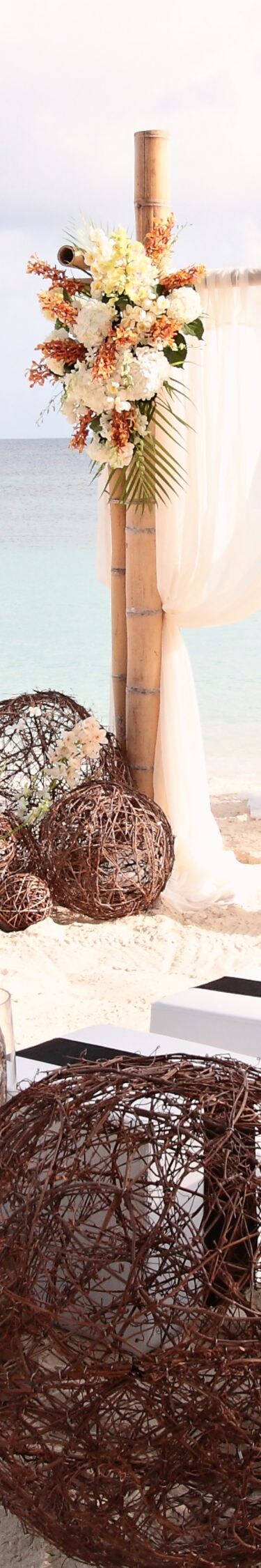 Beachside ceremony setup