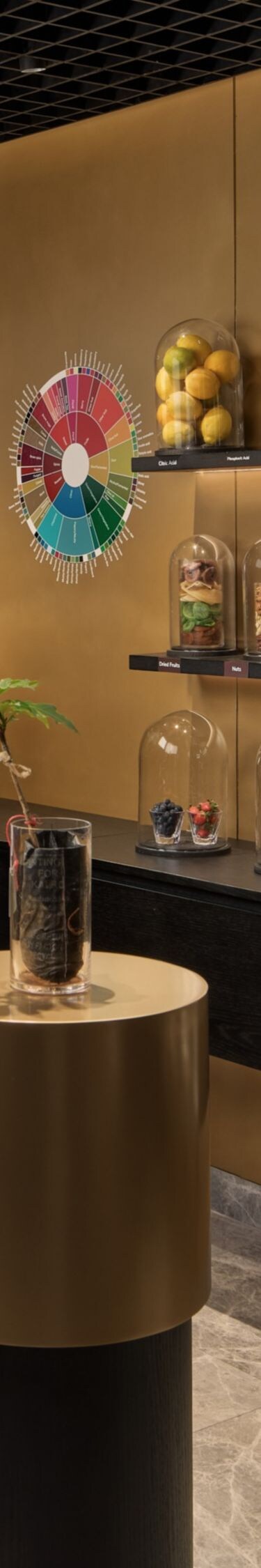 A close view inside the coffee studio