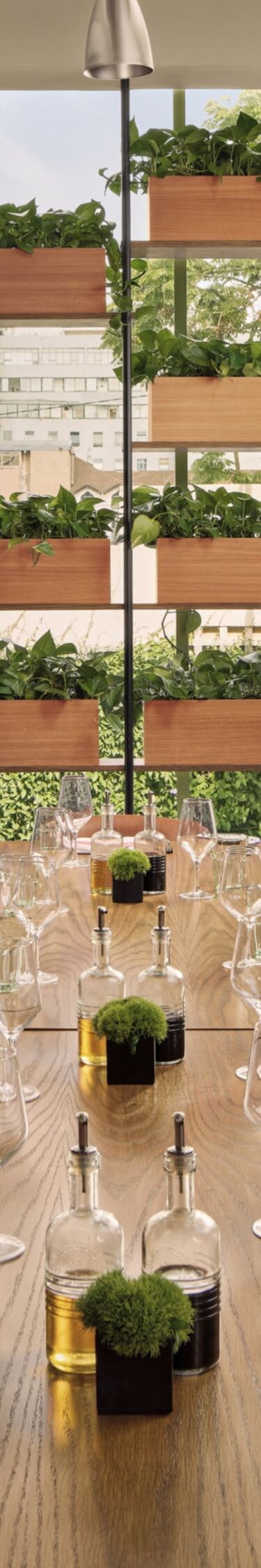 Private dining room set up and ambience