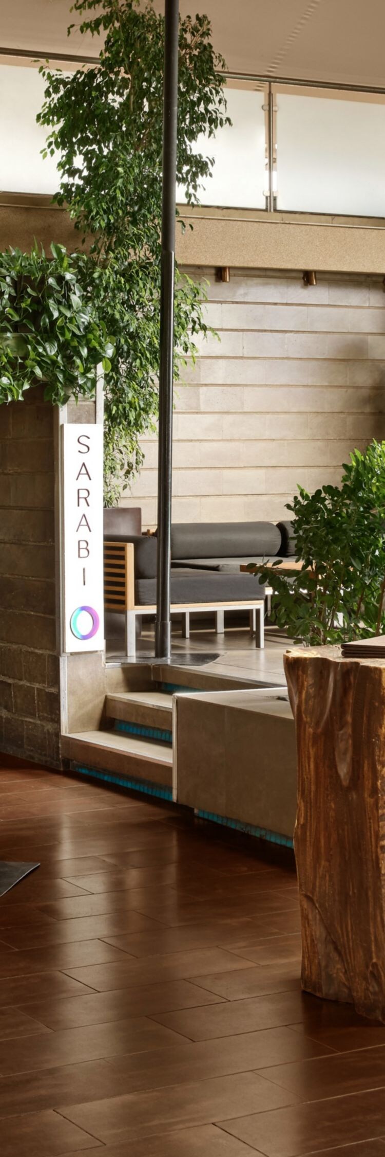 The rooftop bar