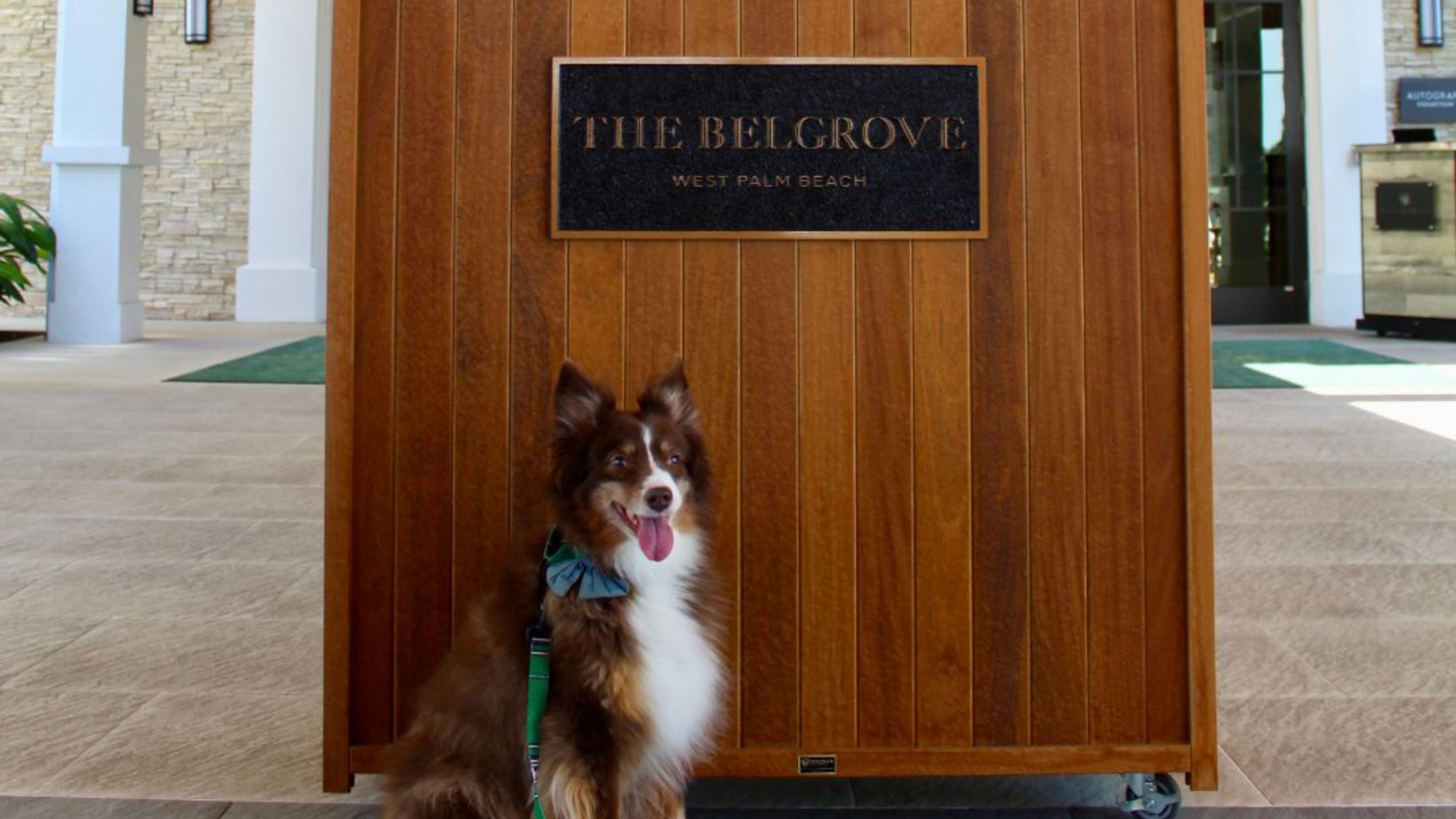 ESCAPE! Pamper Your Furry Friend