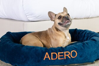 Dog in a dog bed with ADERO logo