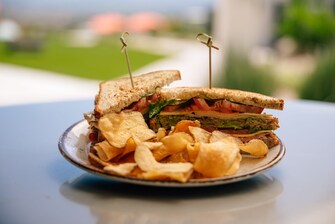 Sandwich and chips on plate