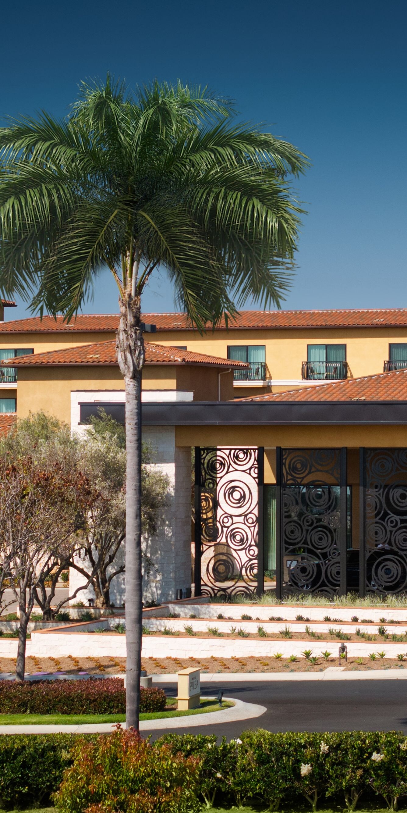 Hotel entrance with palm trees and driveway