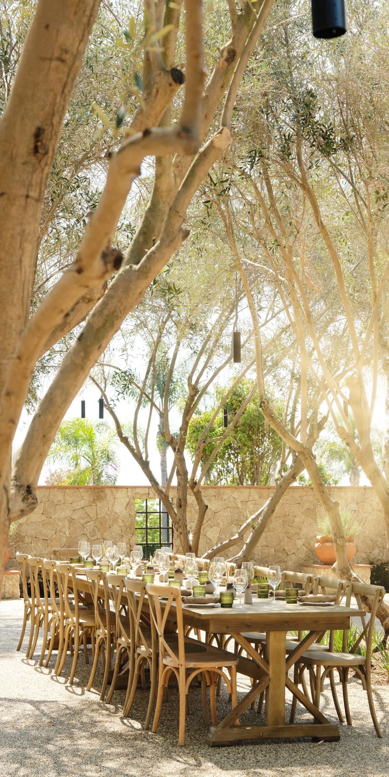 Outdoor dining table under trees with lights