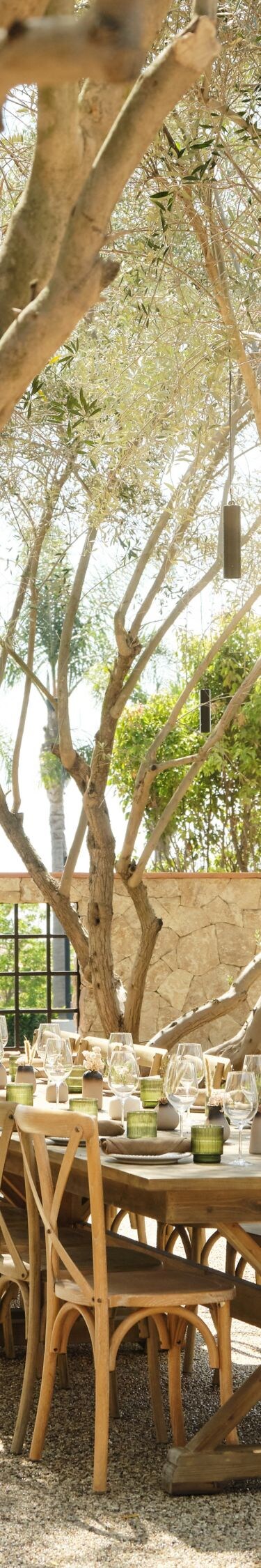 Outdoor dining table under trees with lights