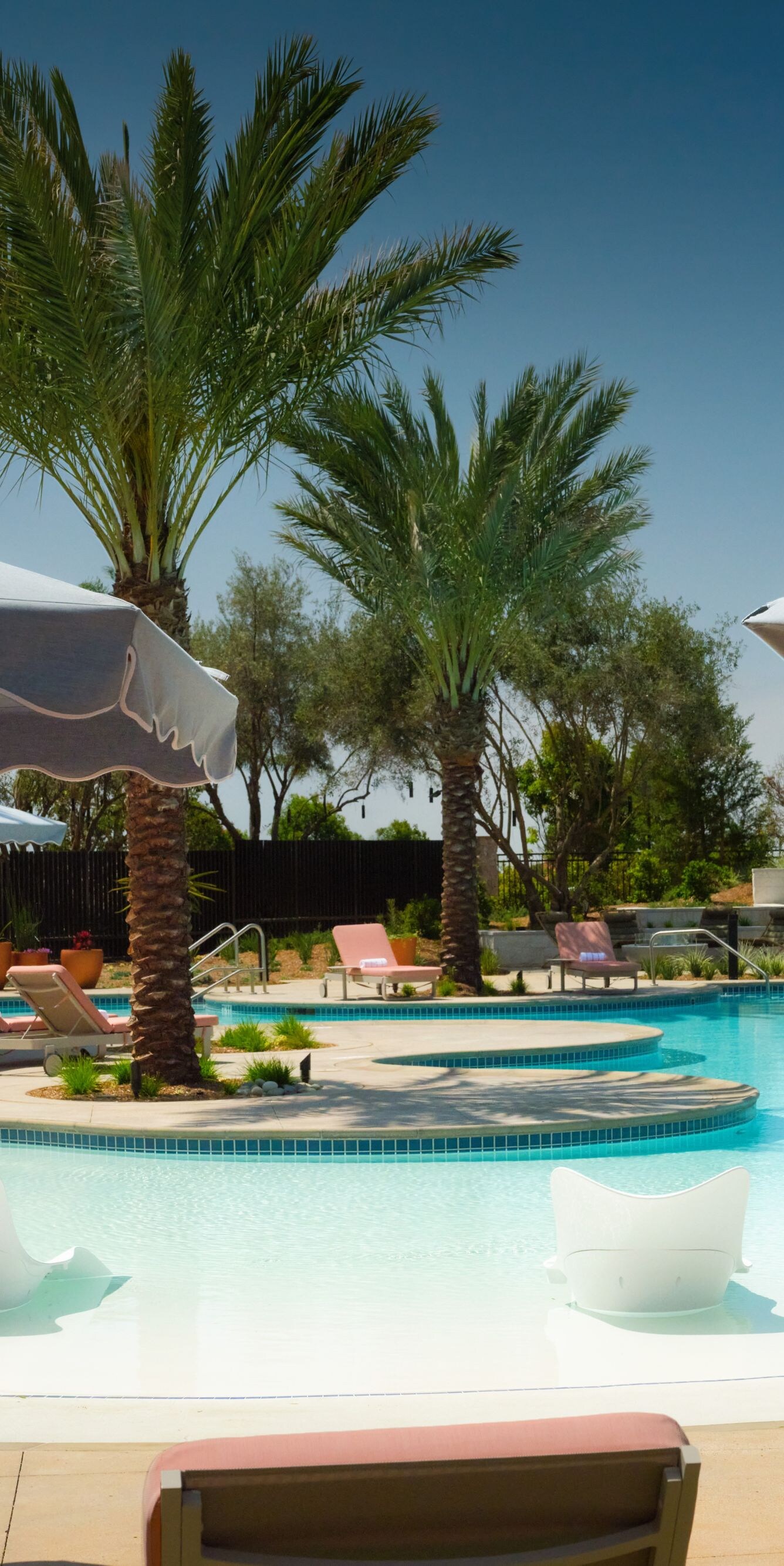 Resort pool with palm trees and lounge chairs