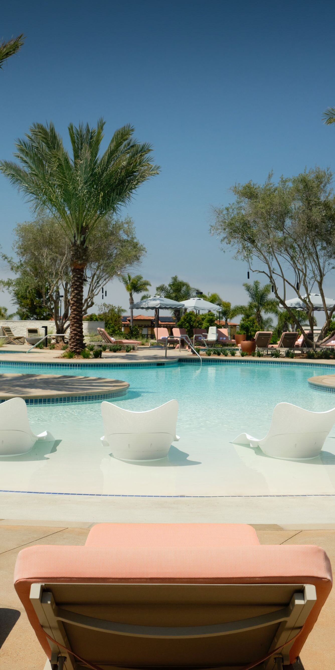 Resort pool with palm trees and lounge chairs