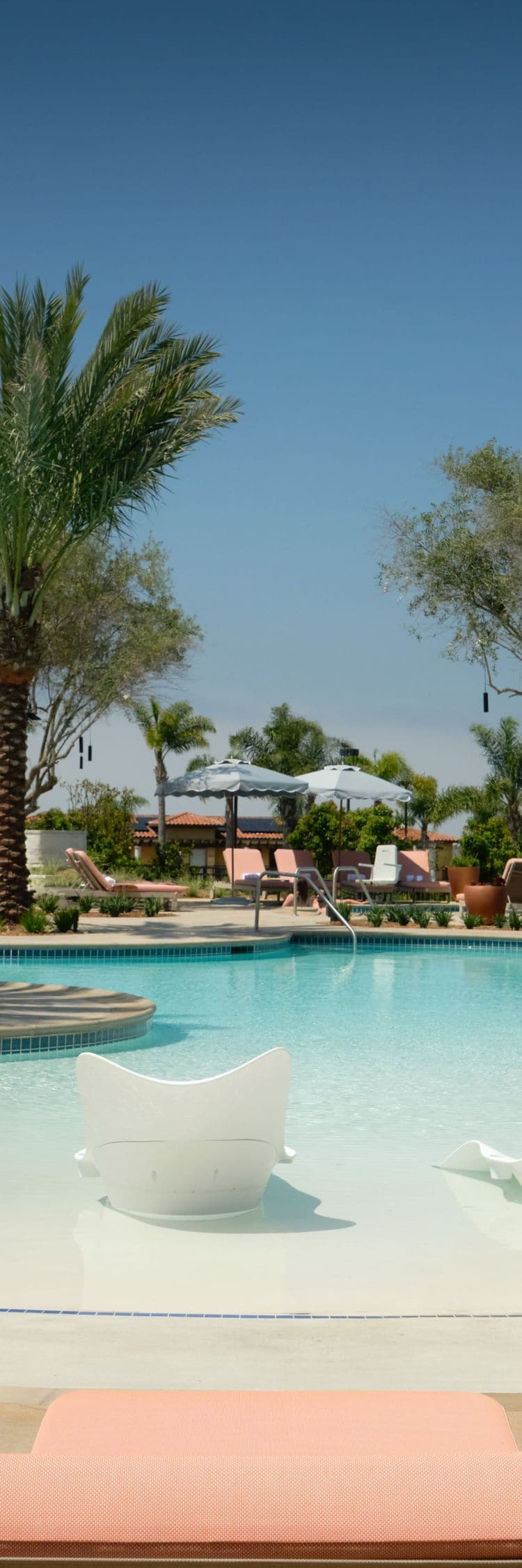 Resort pool with palm trees and lounge chairs