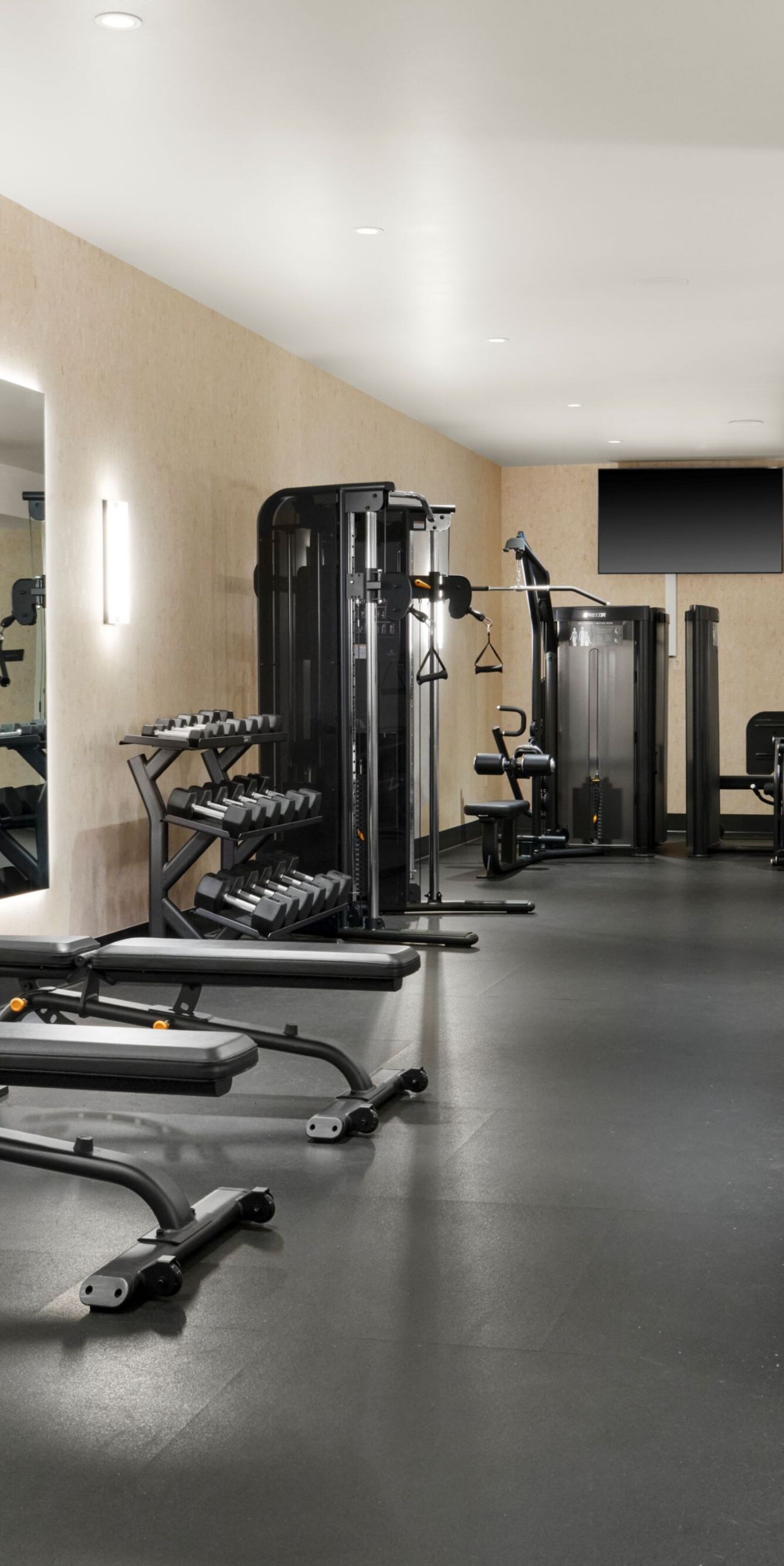 gym equipment in fitness center