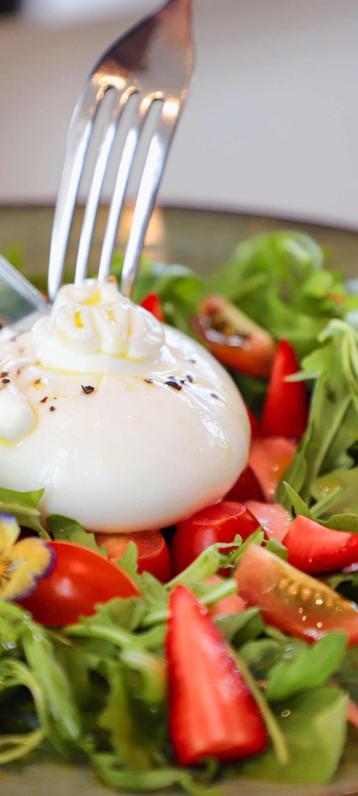 All-you-can-eat vegetarian salad