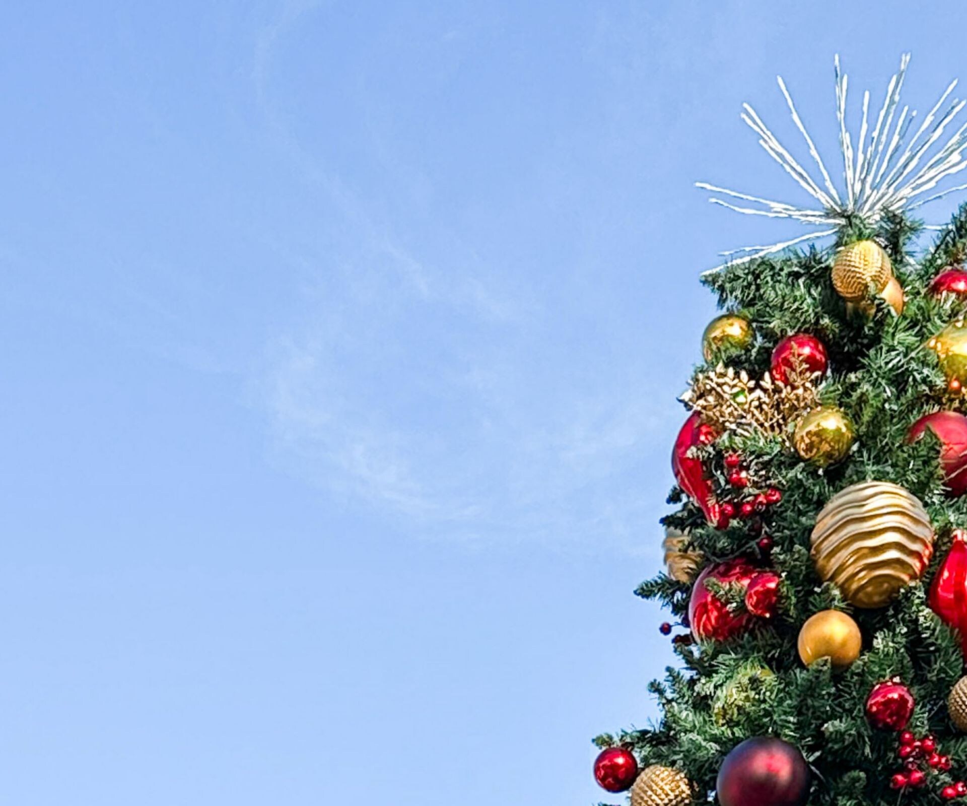 christmas tree