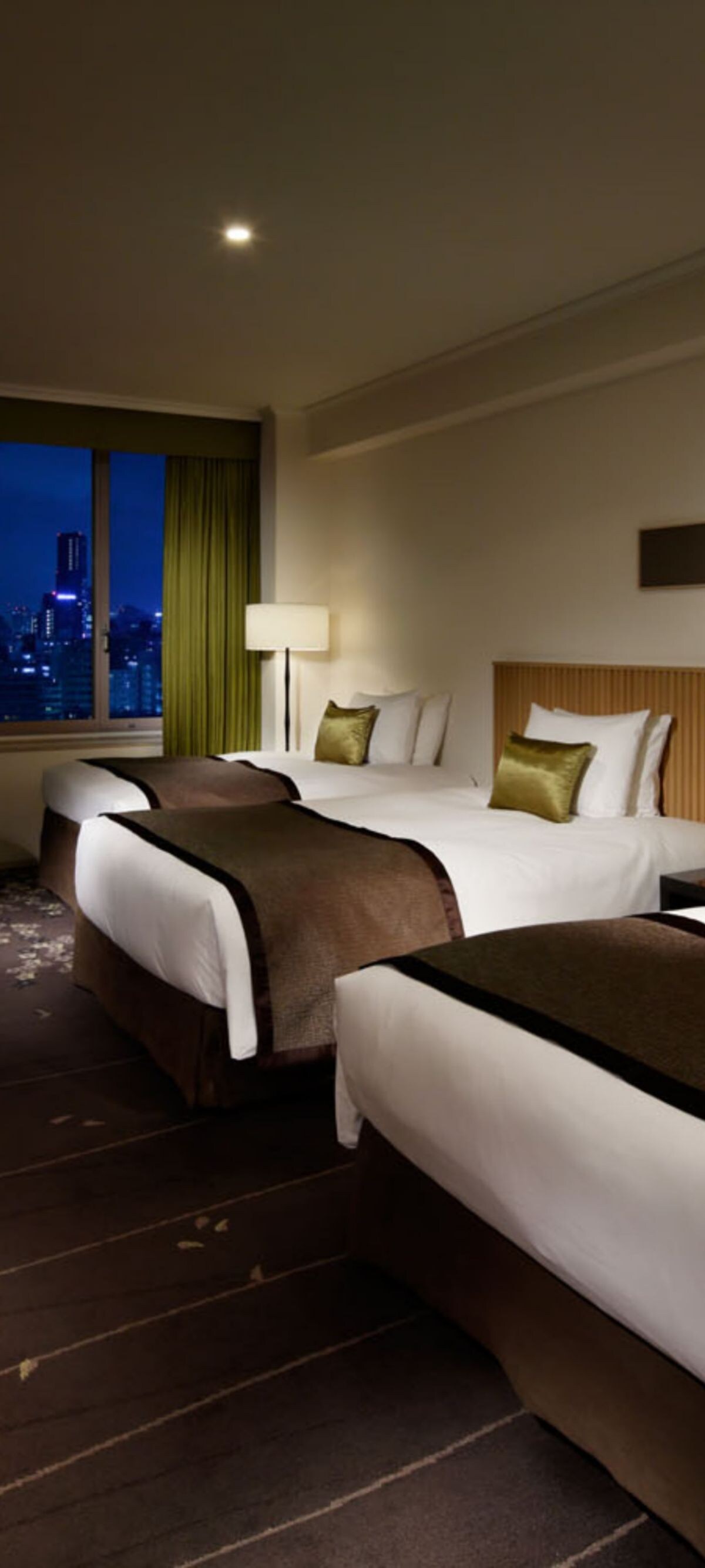 Deluxe Triple Guest Room