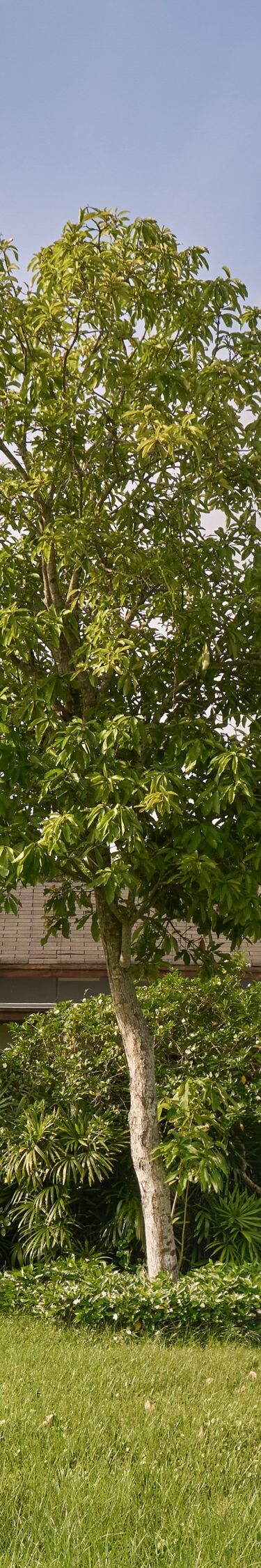 A bungalow set amid greenery and water views.