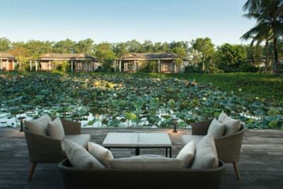 Wooden dock by lotus pond with seating for relaxat