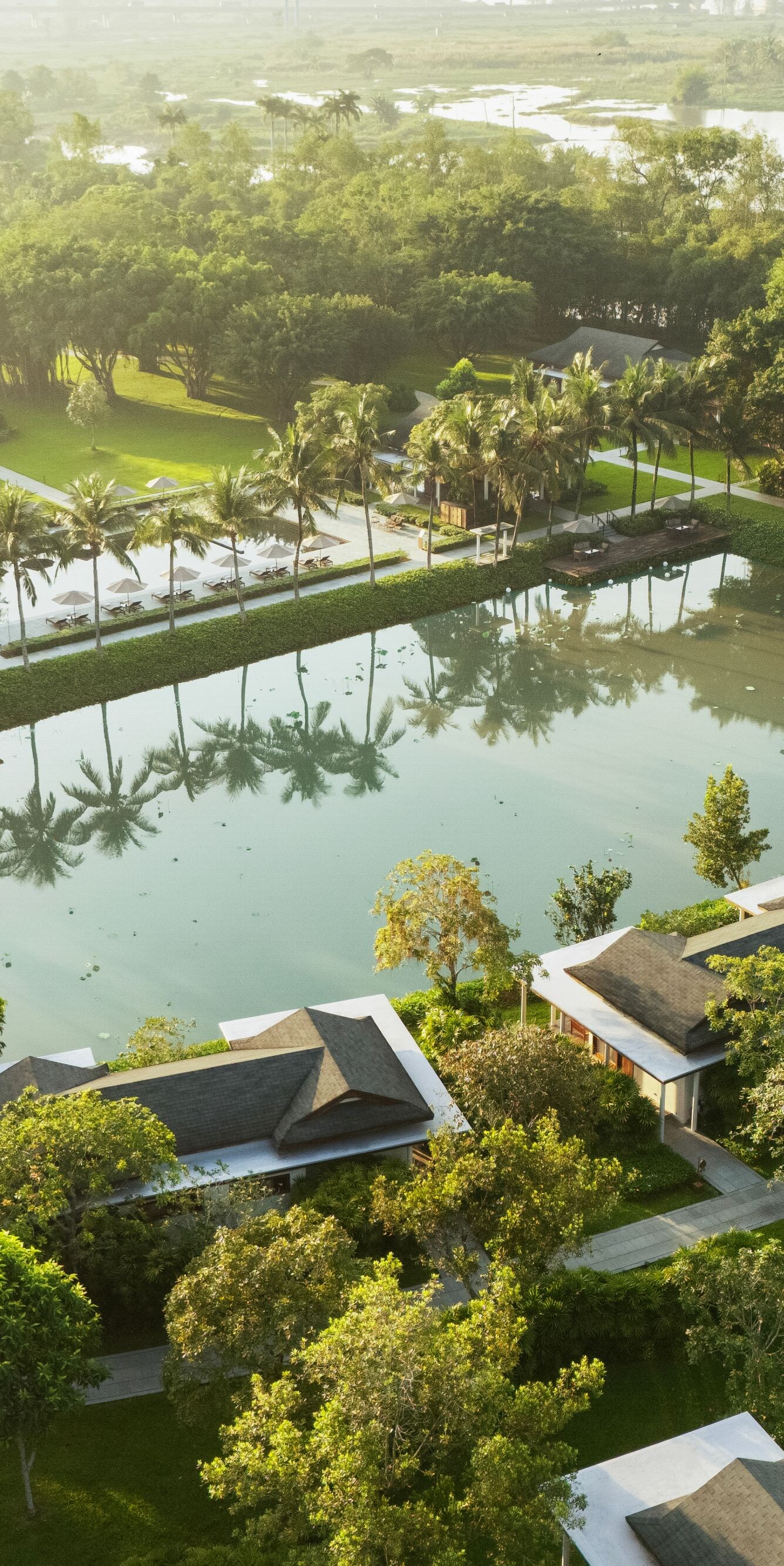 Bungalows embracing a serene lotus pond.