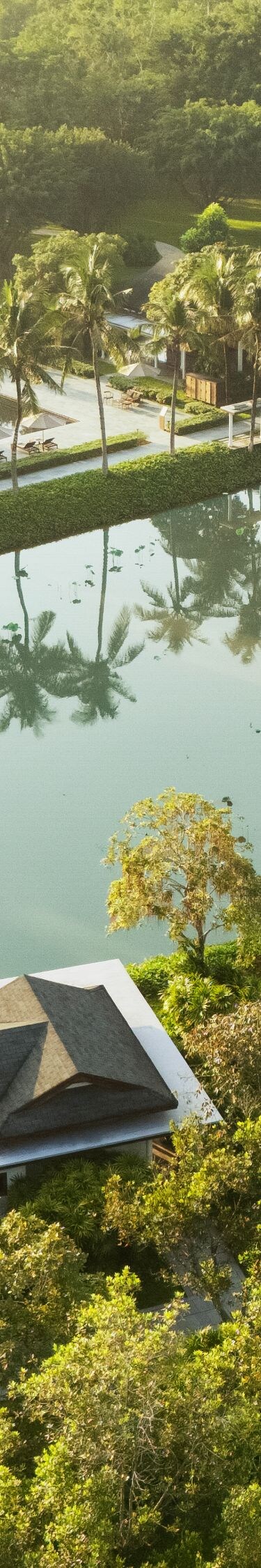 Bungalows embracing a serene lotus pond.