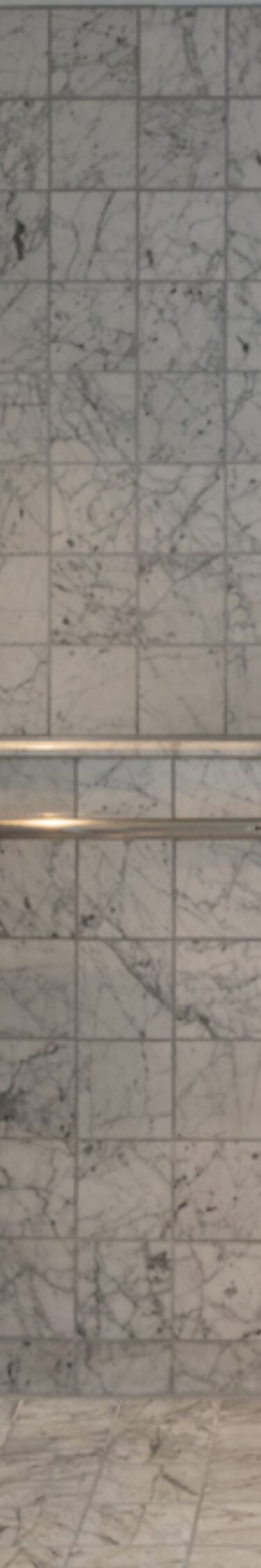 Accessible bath with roll-in shower and grab bar