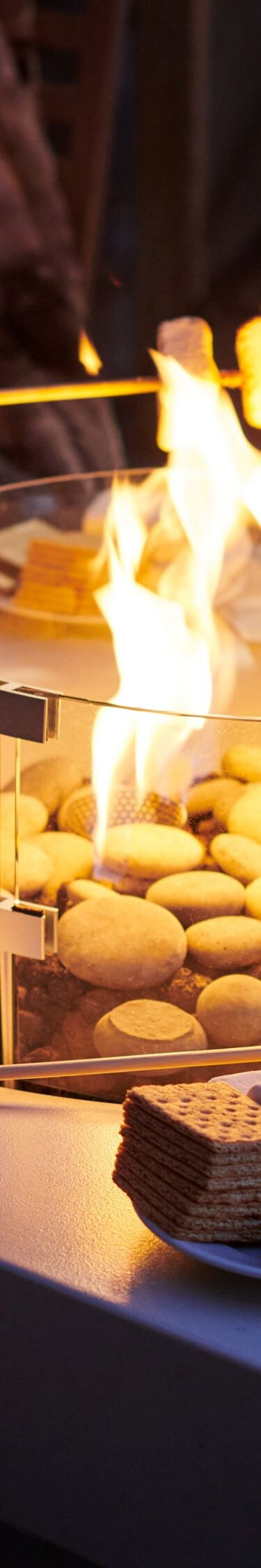Guests roasting marshmallows by the fire