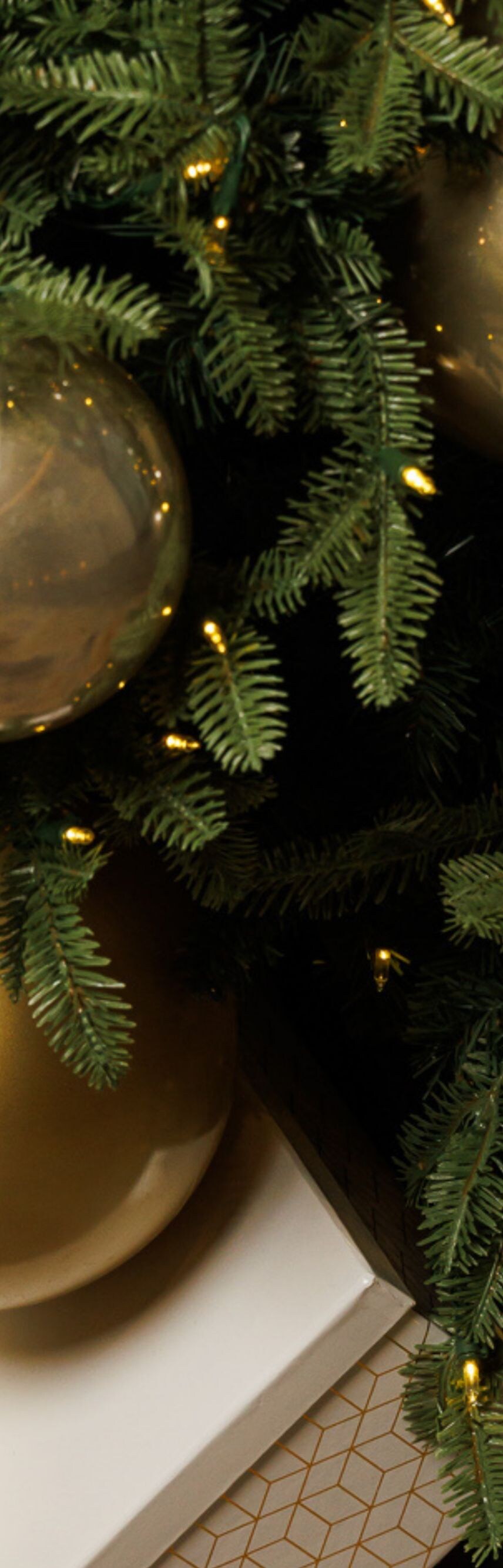 Festive Moments 