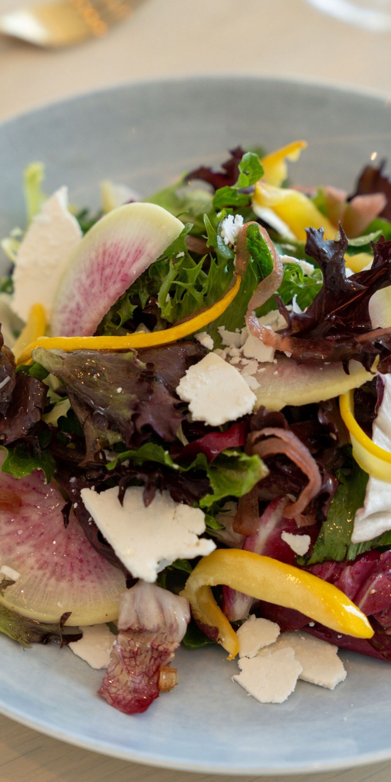 Salade gourmet avec radis et fromage de chèvre