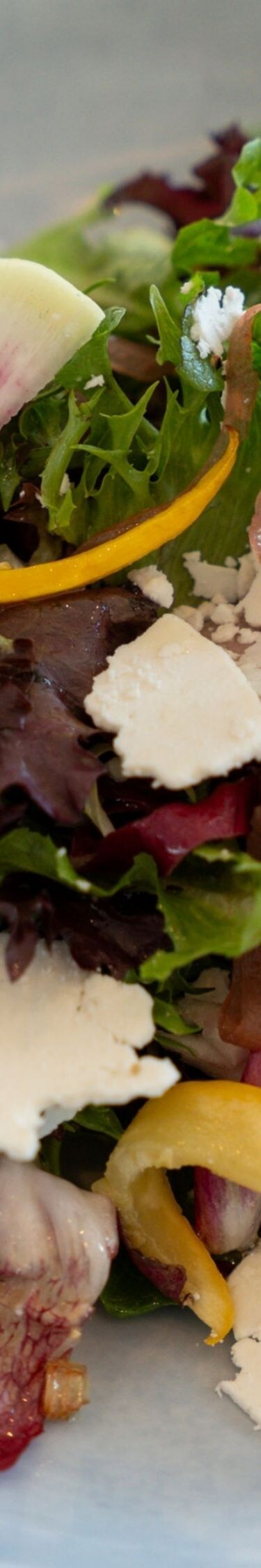 Salade gourmet avec radis et fromage de chèvre