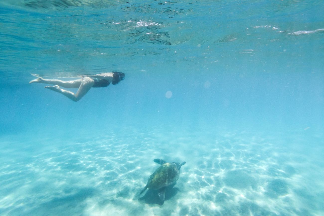 a woman swimming in the sea along with a turtle