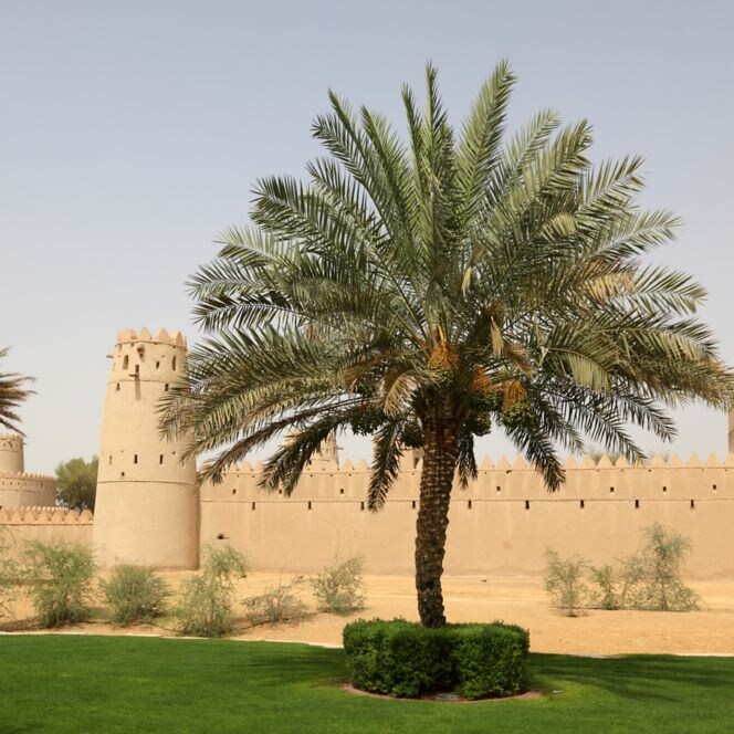 Al Jahili Fort in Al Ain, Abu Dhabi United Arab Emirates