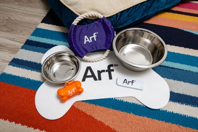 Dog bowls and toys