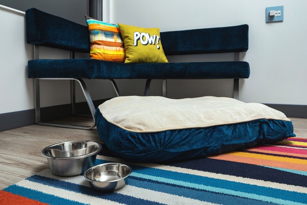 Dog bed and bowls 
