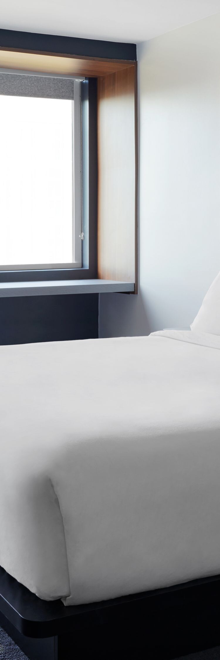 guest room with king bed