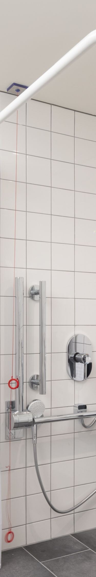 Accessible bathroom with roll-in shower and sink