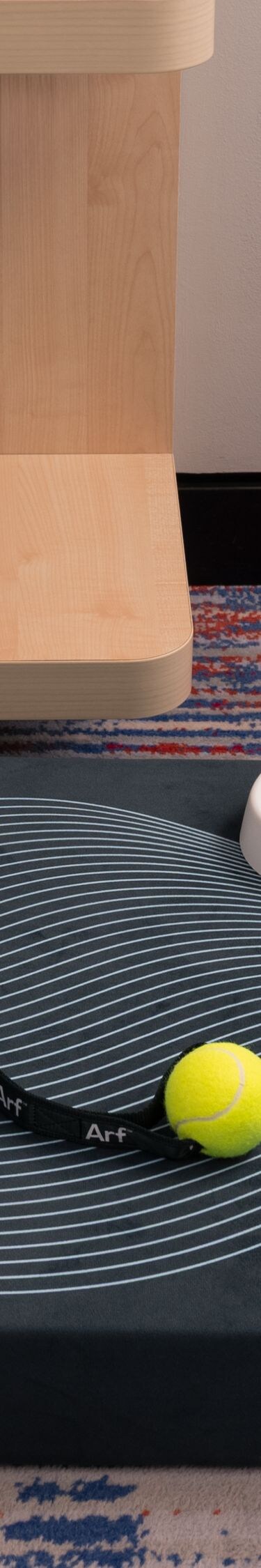 Dormitorio con comodidades y cama para mascotas