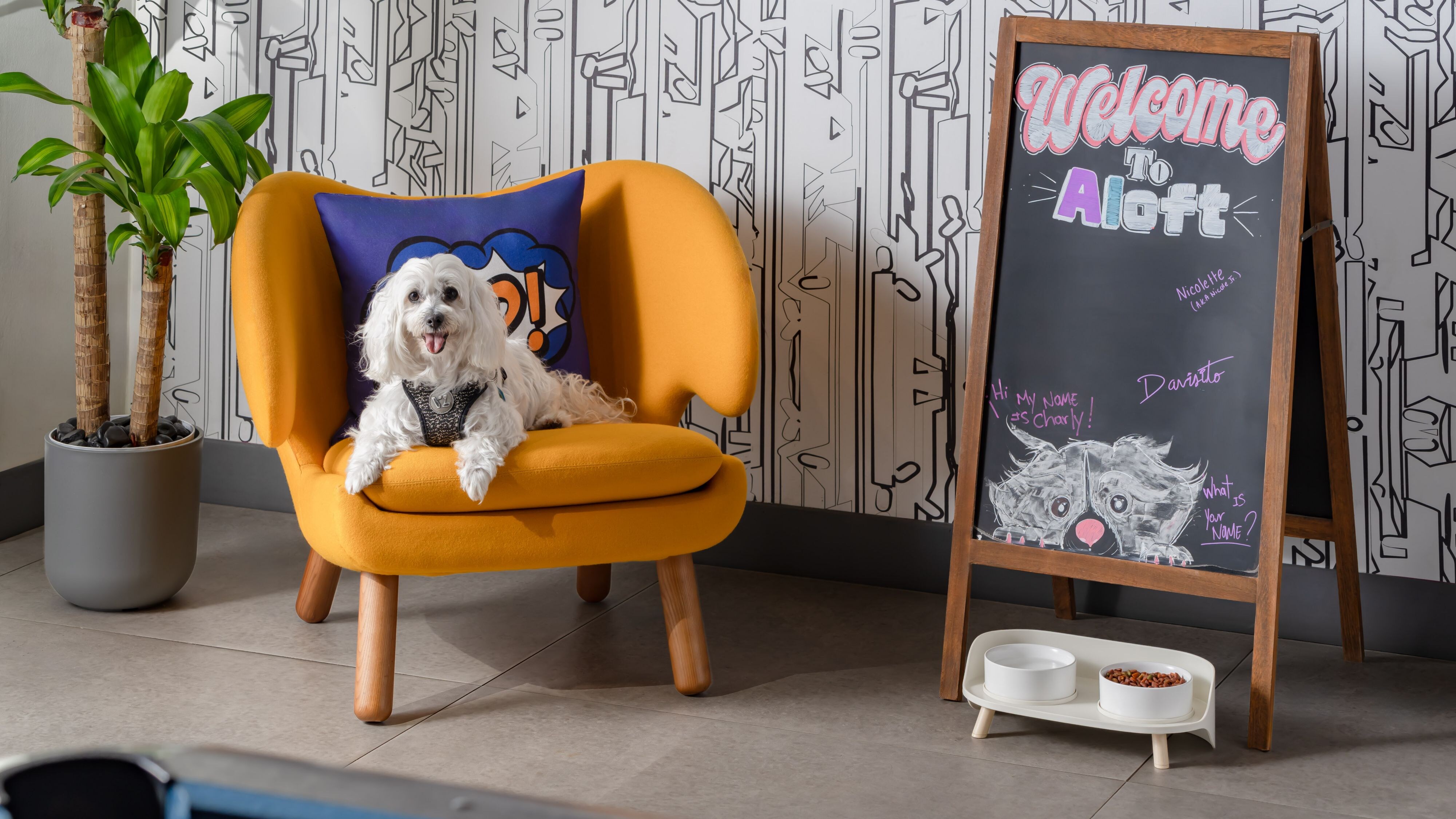 Paws in Brickell