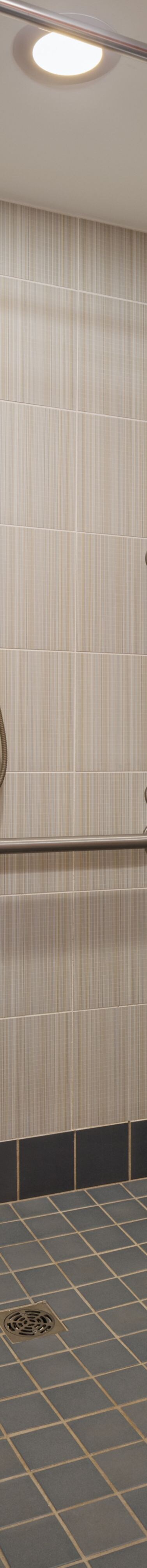 Accessible shower