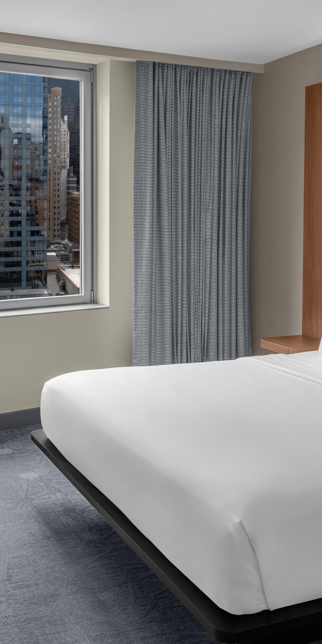 Accessible King Guest Room with View