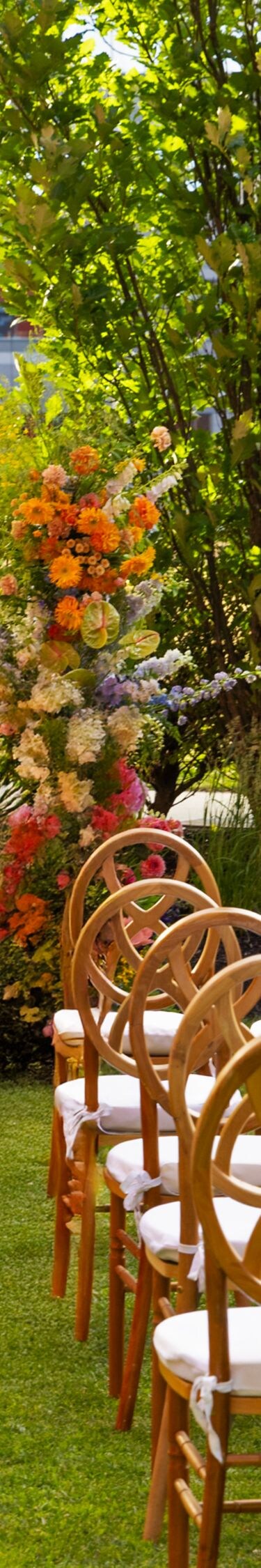 rows of elegant chairs set up on a lawn