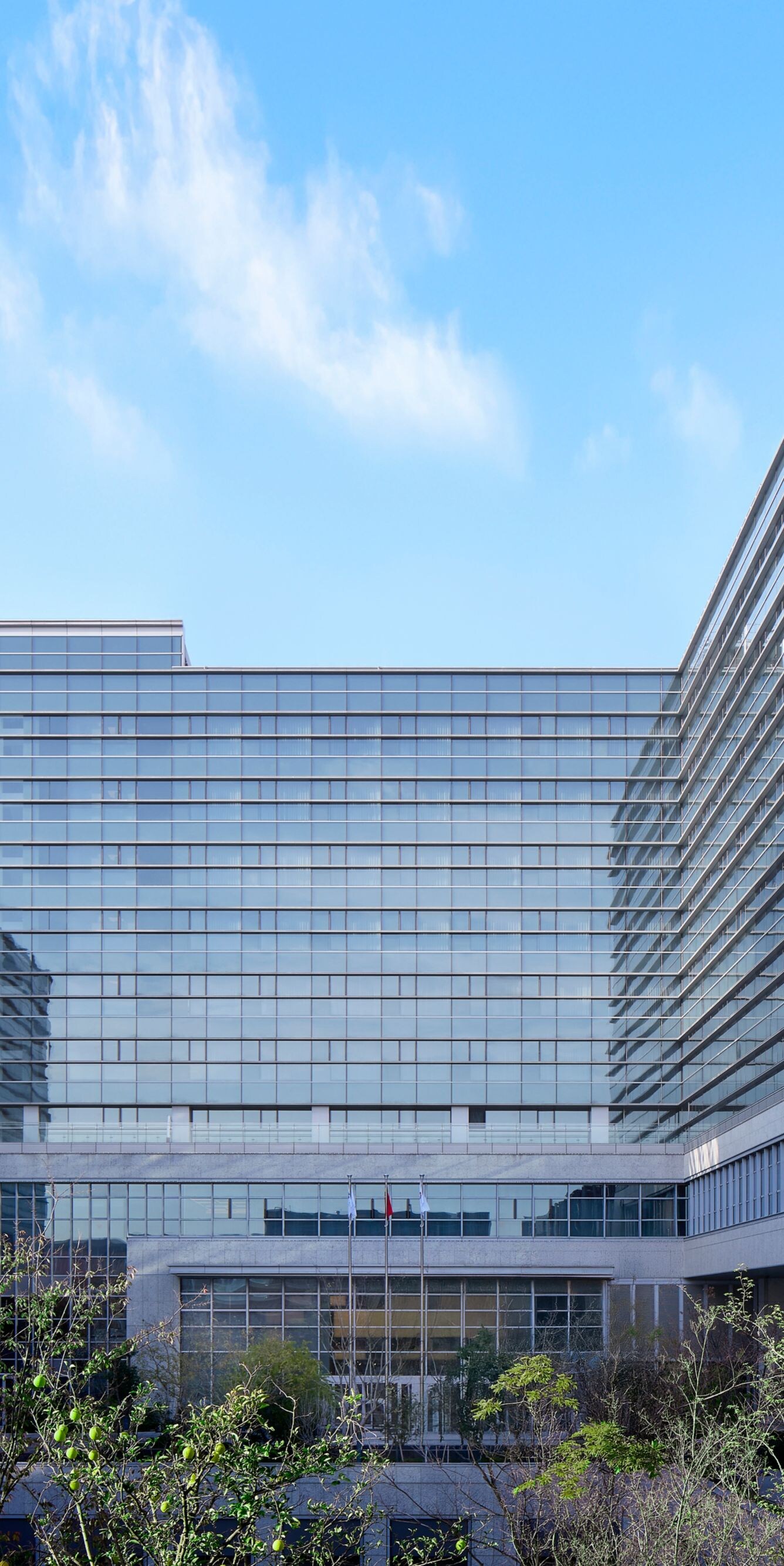 Hotel Exterior, Modern lines outline vibrancy