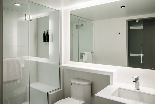 shower, mirror, toilet, and vanity